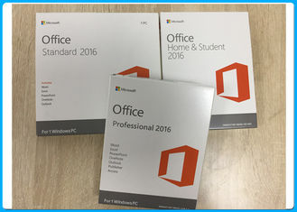 3.0 USB Microsoft Office 2016 Professional Plus dengan Kartu Kunci Asli